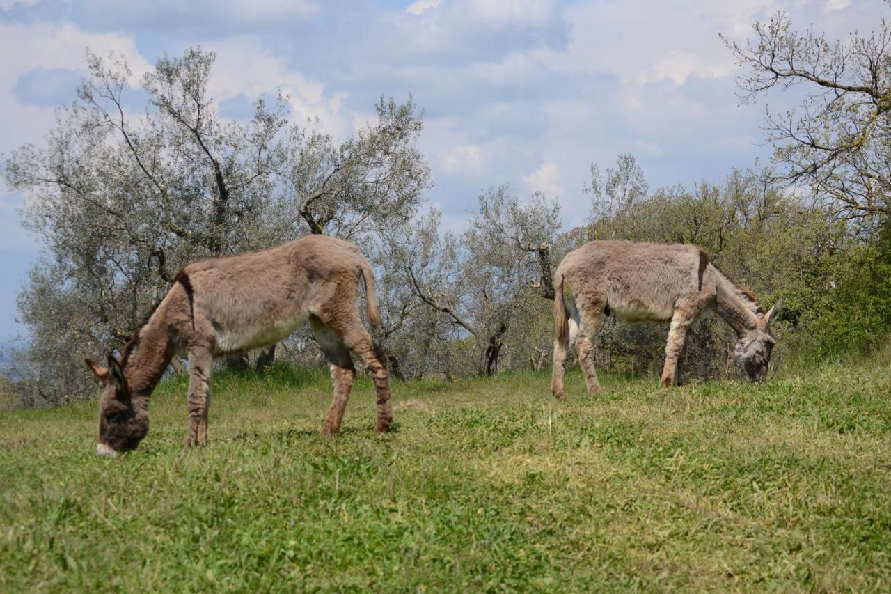 Agriturismo La Lampada Di Atena Ветралла Экстерьер фото